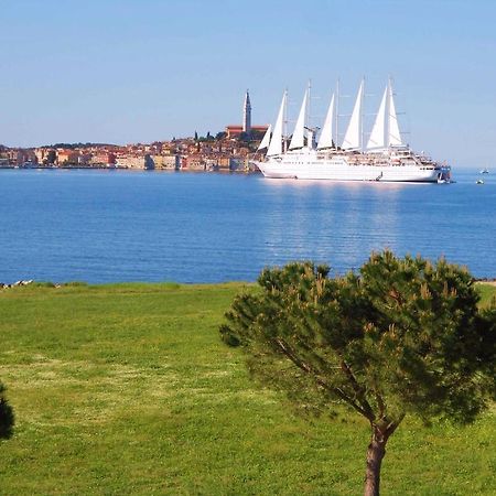 Stella Mare Apartments Ρόβινι Εξωτερικό φωτογραφία