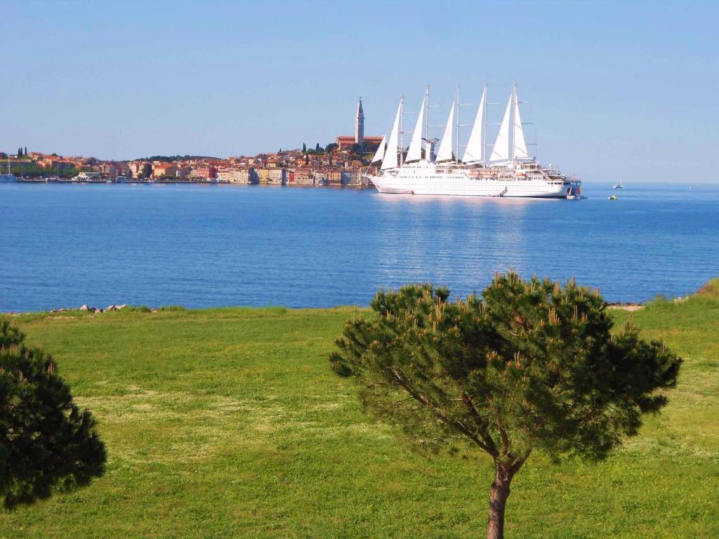 Stella Mare Apartments Ρόβινι Εξωτερικό φωτογραφία