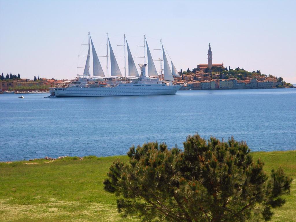 Stella Mare Apartments Ρόβινι Εξωτερικό φωτογραφία